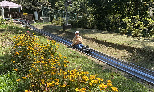 アルプスドリームコースター